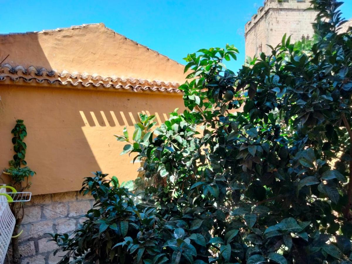 Estudio Castillo Dénia Exterior foto